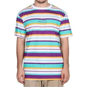 Dgk Day Dream Colorful Striped T-Shirt
